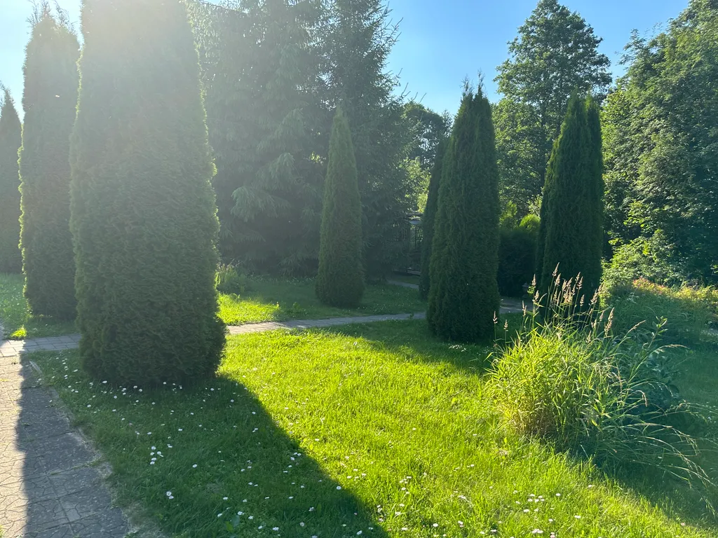 Агроусадьба на уединенном хуторе