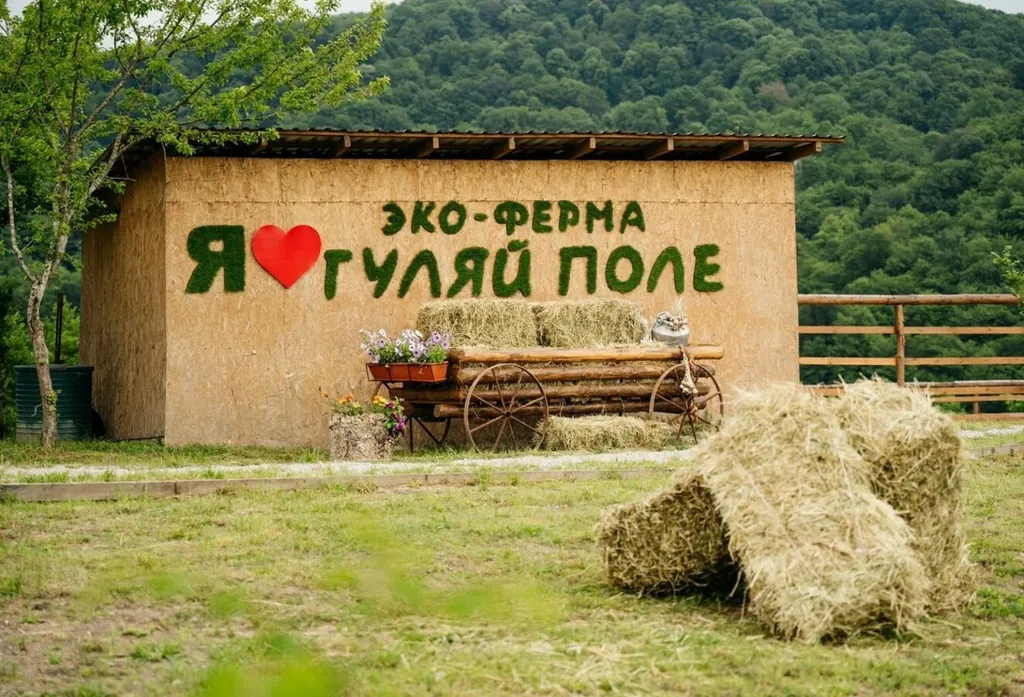 Средний домик в глэмпинге эко-ферма Гуляй поле