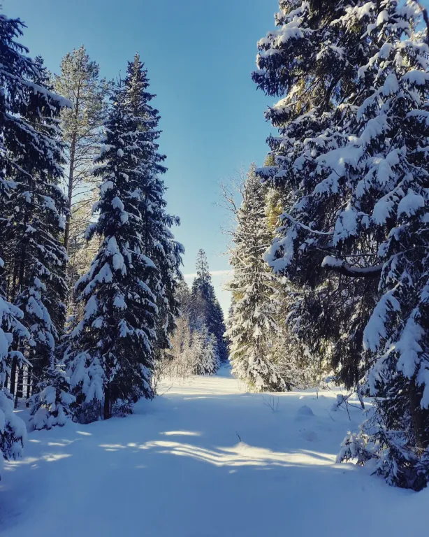 Коттедж Незабываемый отдых в доме с видом на реку и лес — Нурмойла