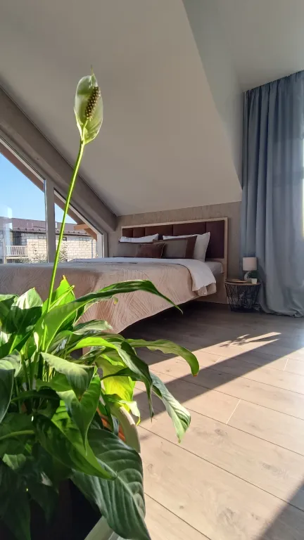 Загородный дом с баней на дровах