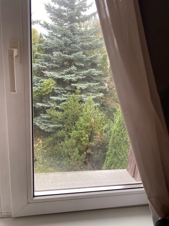 Sweet Home Домик с голубыми елями