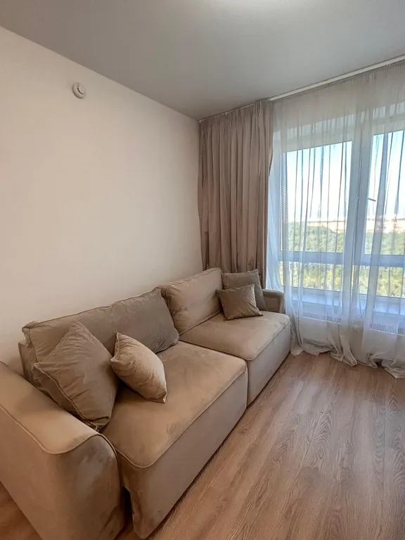 Студия с видом на лес