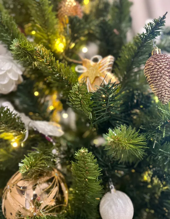 КенигДелюкс Сердце Калининграда