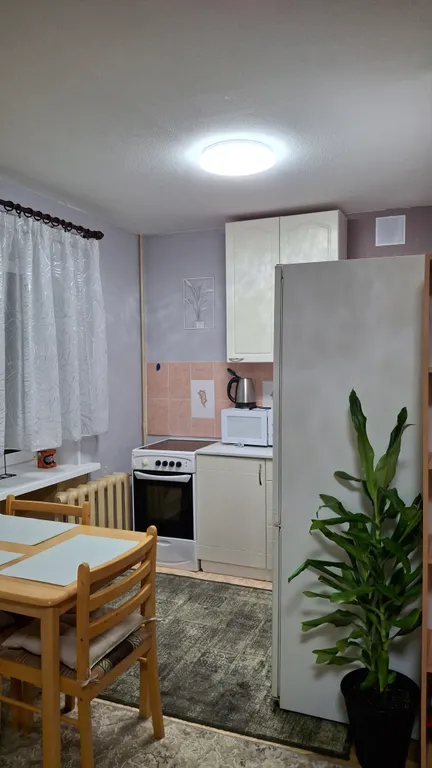 Квартира- студия, есть всё необходимое