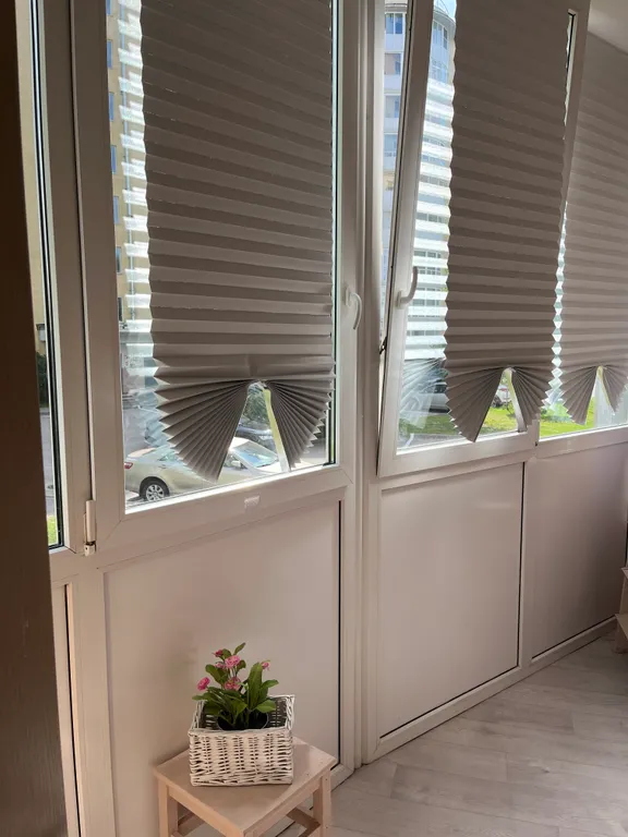 Большая квартира с зонированием и с видом на лес