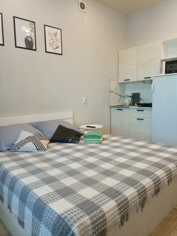 Уютная студия в центре города