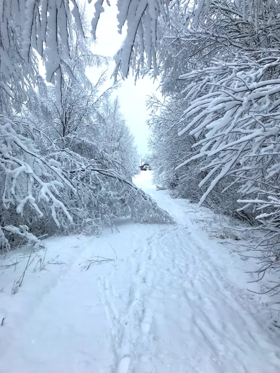 Три Галки Дом в саду