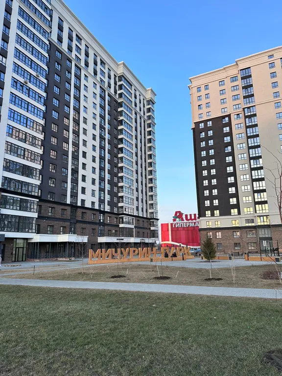 Апартамент с видом на лес