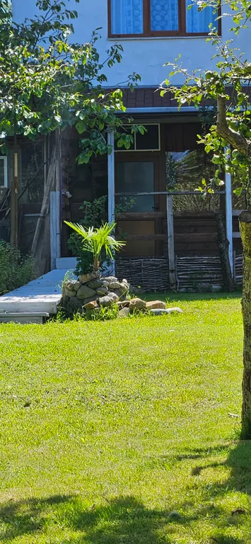 Номер рядом с лесом