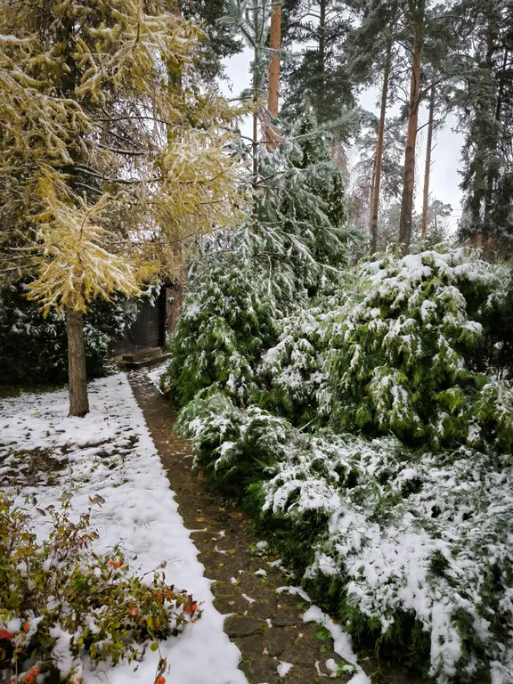 Классный домик на выходные и новый год