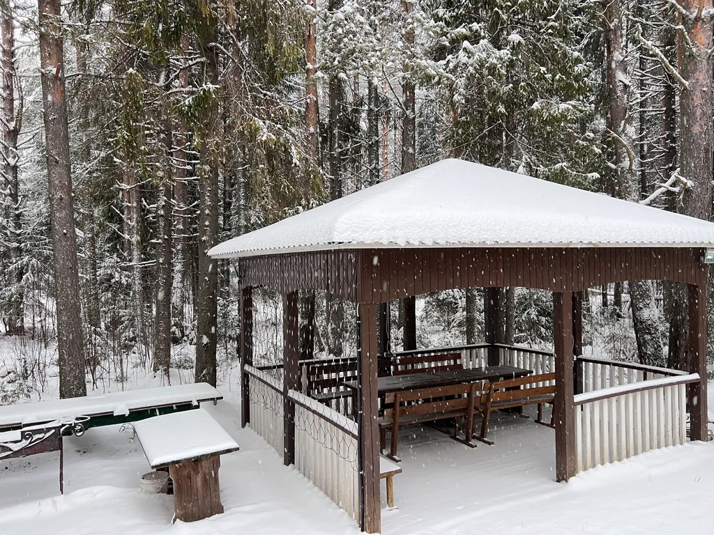 Коттедж с баней и беседкой у Вотчины Деда Мороза