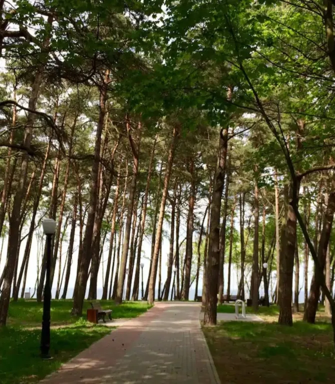 Квартира Квартира у моря — Пионерский