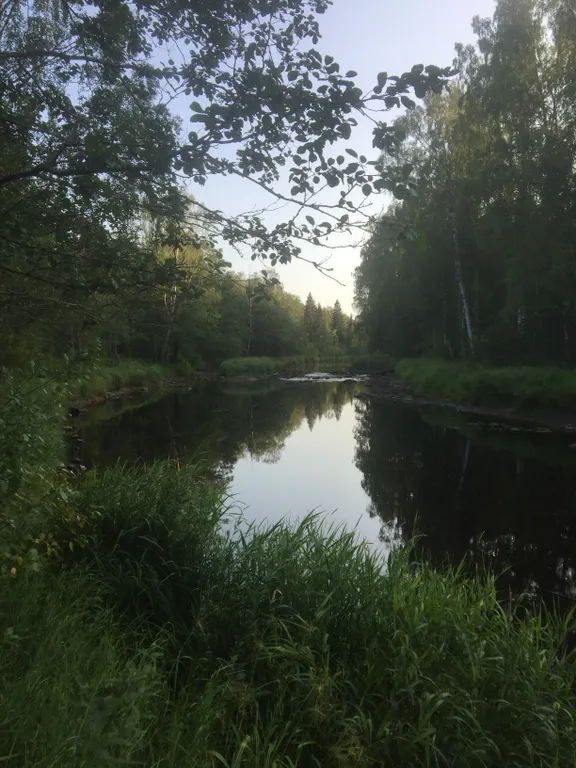 Коттедж Коттедж на Ладоге в устье реки Морье — Морье