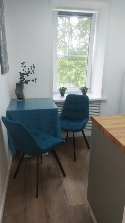 Апартаменты с видом на реку и лес (закаты, рассветы, пение птиц)