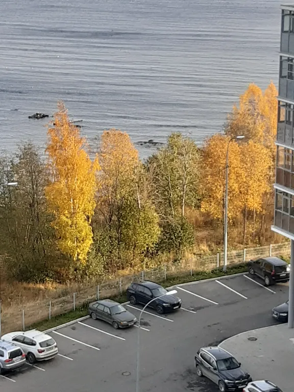 Квартира с видом на Онего