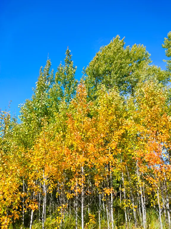 Коттедж Уютный дом у озера — Волосово