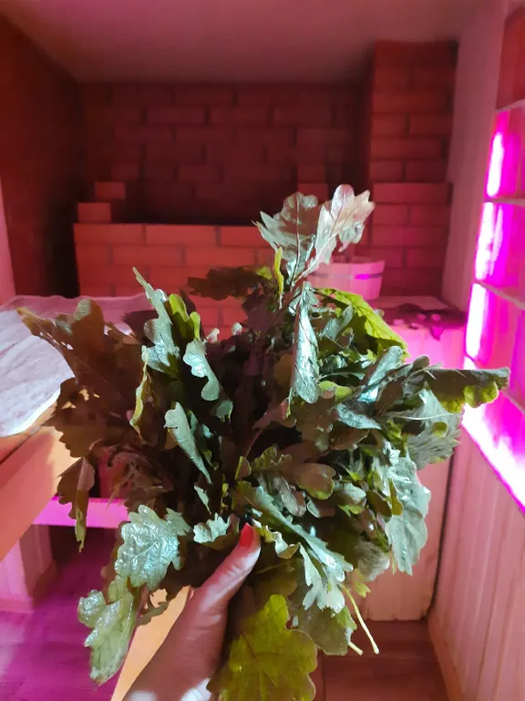 Уютный, комфортный для проживания на берегу озера, в зелени и тишине