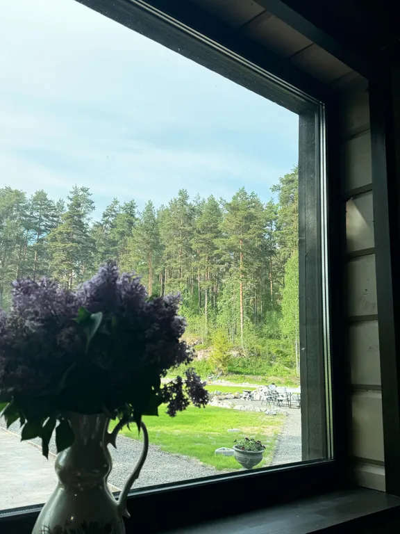 Дом в окружении заповедного леса у подножия горы Варамяки