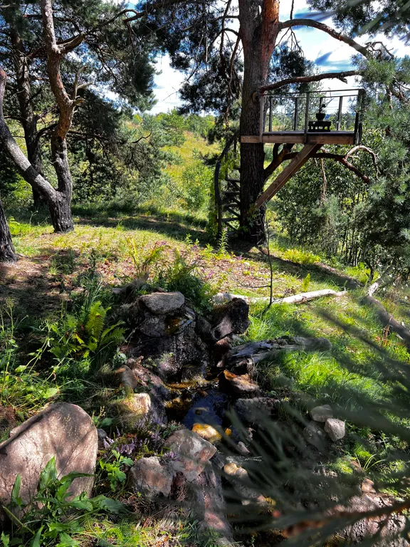 Уютный домик с сауной у леса