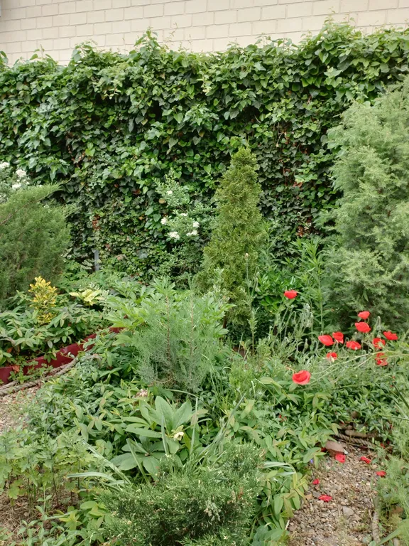 Семейный 3-х комнатный номер в тихом районе