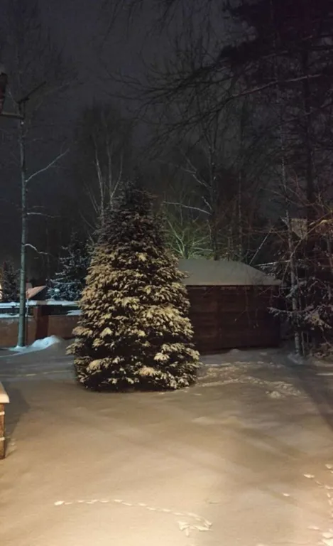 Коттедж Уютный дом для празднования новогодних праздников — Куйвози