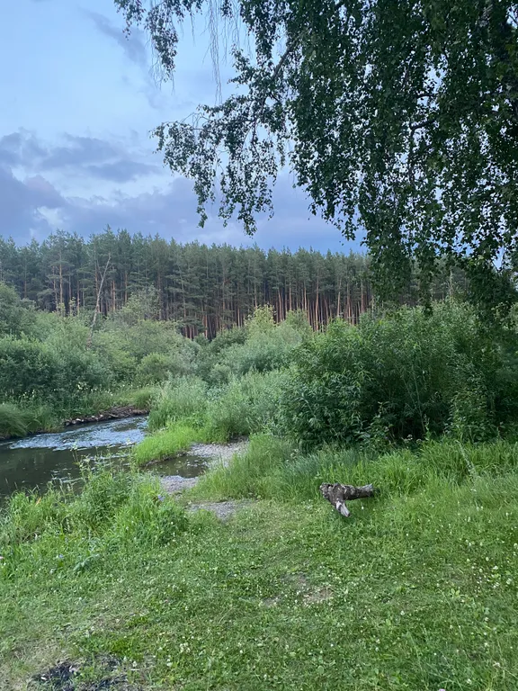 Уютный домик с собственной сауной