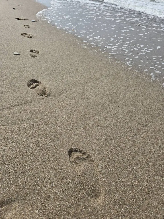 Изумительные 3-комнатные апартаменты с собственным участком земли