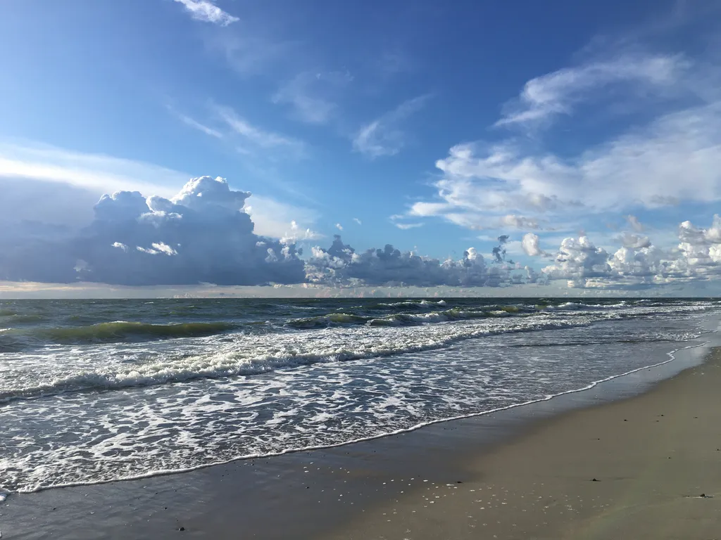 Апартаменты у моря