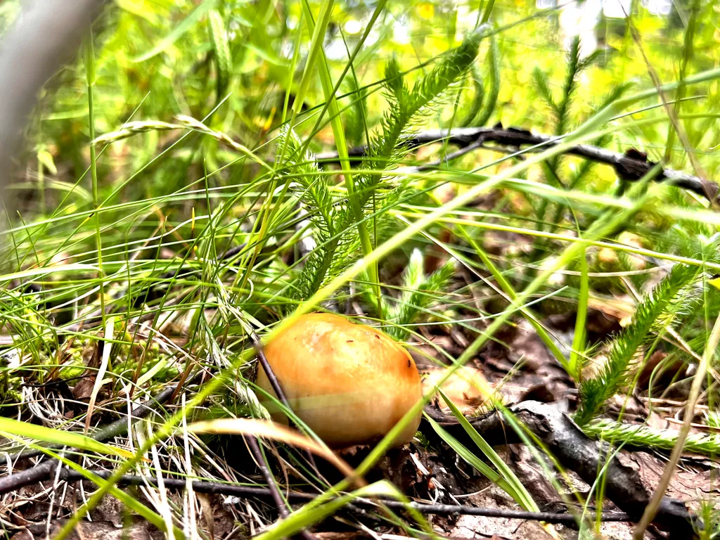 Уютный загородный коттедж в 18 км от Смоленска рядом с трассой М1