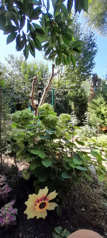 Коттедж Дом из бруса в саду — Анапа