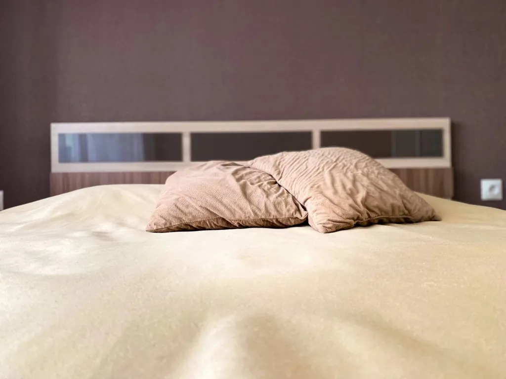 Уютная 1-комнатная квартира с бесконтактным заселением — аренда посуточно в Петрозаводск