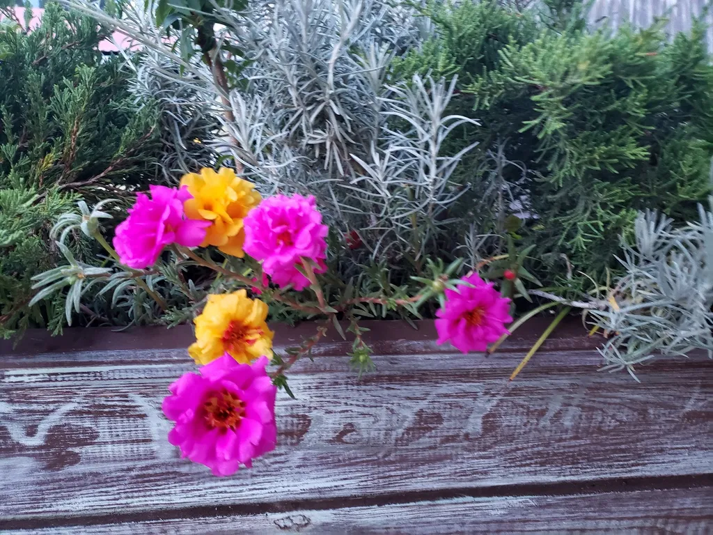 2-х комнатная квартира студия 45кв.м