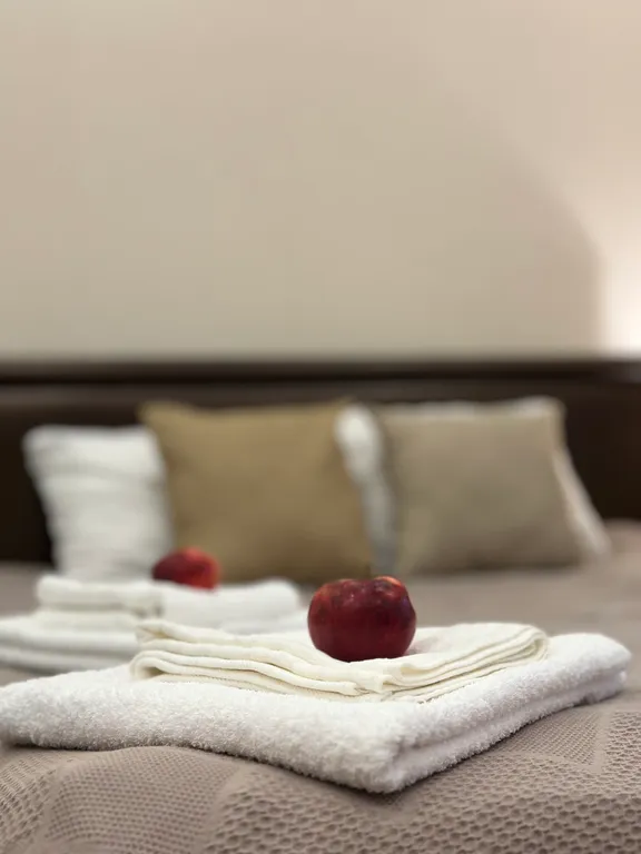 Уютная квартира в центре Пскова