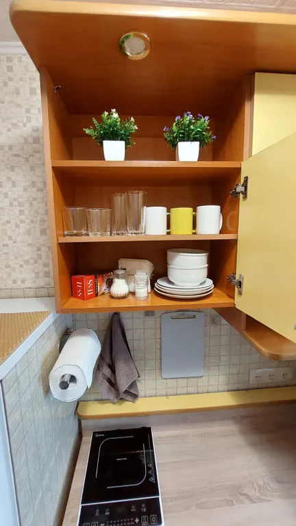 Уютная студия в центре города