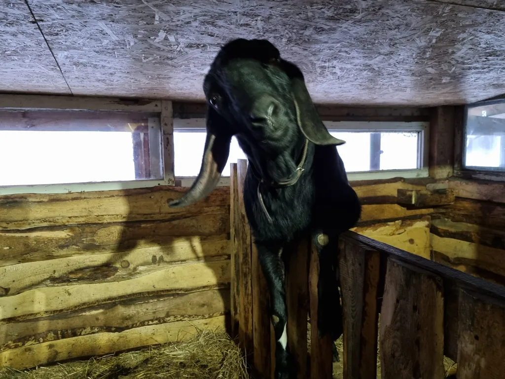 Коттедж Домик в деревне — Соколова