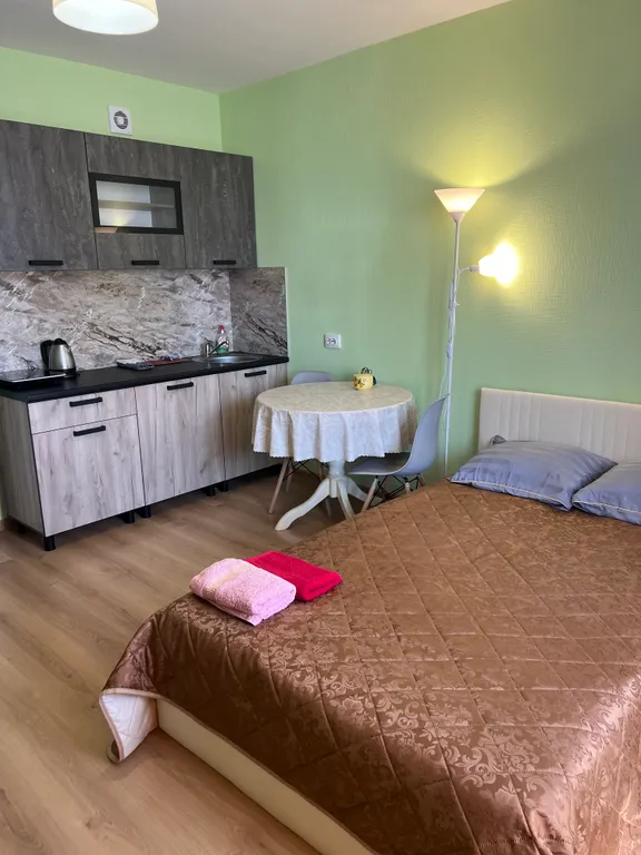 Квартира Квартира Уютная студия рядом с НИИ Петрова Гранова Напалкова — Песочный