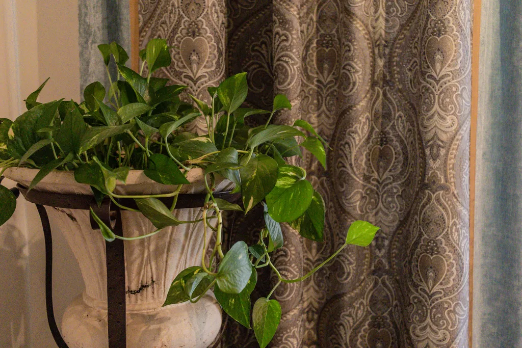 Апартаменты с видом на Эрмитаж