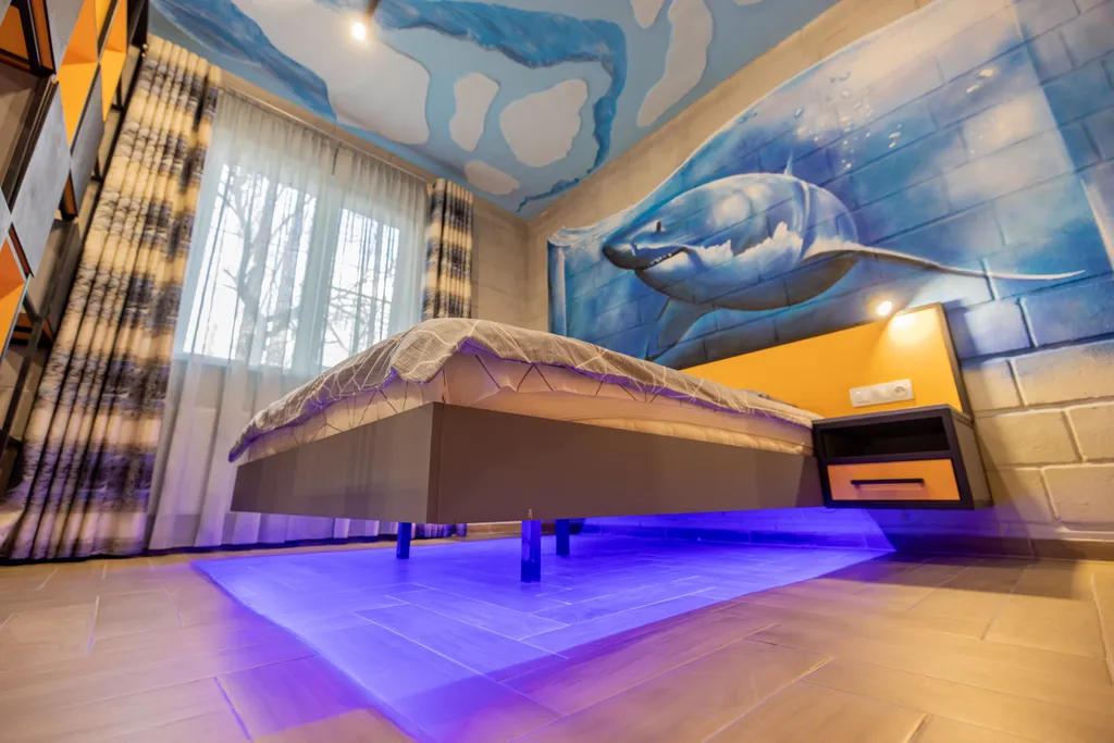 Студия Акула