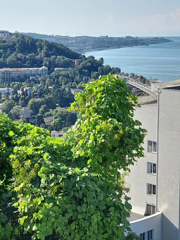 Уютная квартира в Хосте с видом на море — аренда посуточно в Хоста