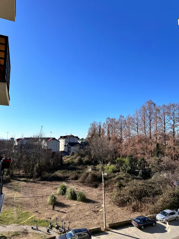 Квартира Уютная квартира у Парка Южных Культур — Сириус