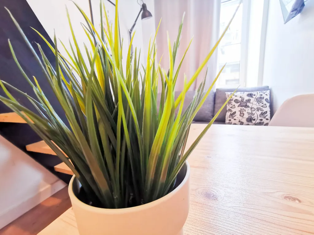 Квартира Комната — Санкт-Петербург