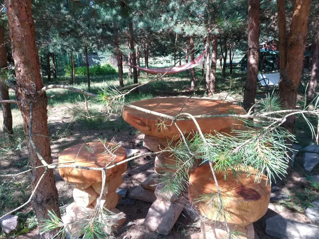 Дом с печью у Нарочи