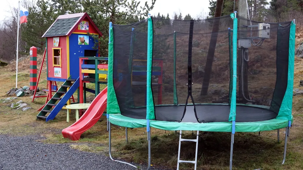 Фиалковый дом на Ладоге