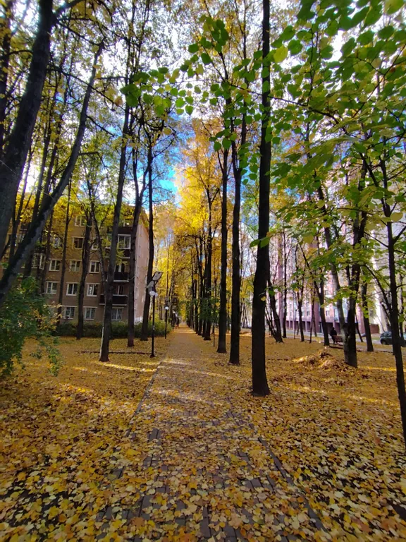 Студия в 7 минутах пешком от метро Щелковская