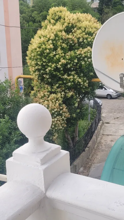 Коттедж Коттедж Уютное местечко — Сочи