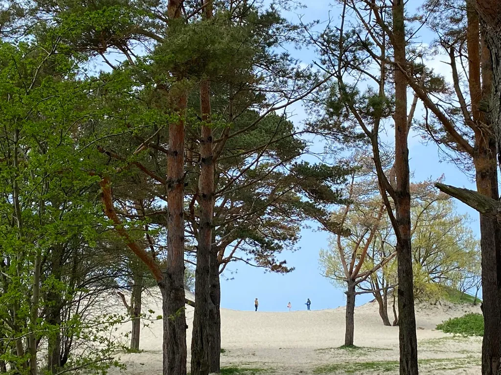 Апартаменты на побережье Балтийского моря