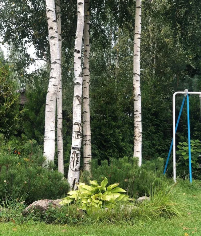 Комфортный  дом с баней в тихом месте с закрытой территорией