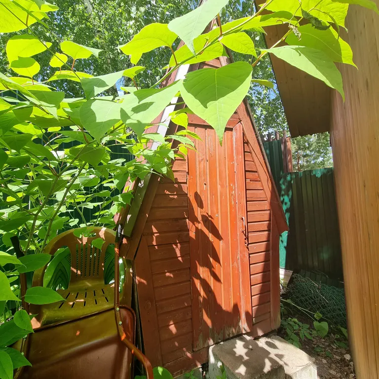 Дачный домик на 67 километре