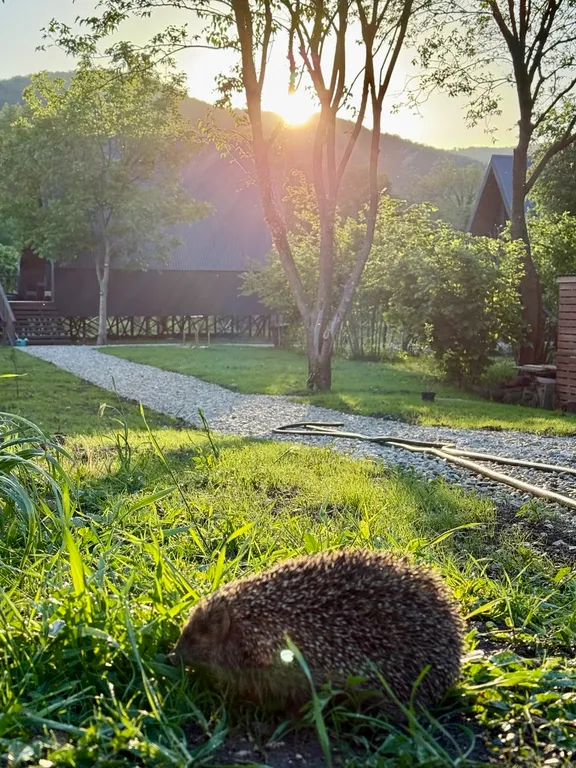 А-Фрейм Морской в новом уютном Глэмпинге в окружении гор. Море, пляж.