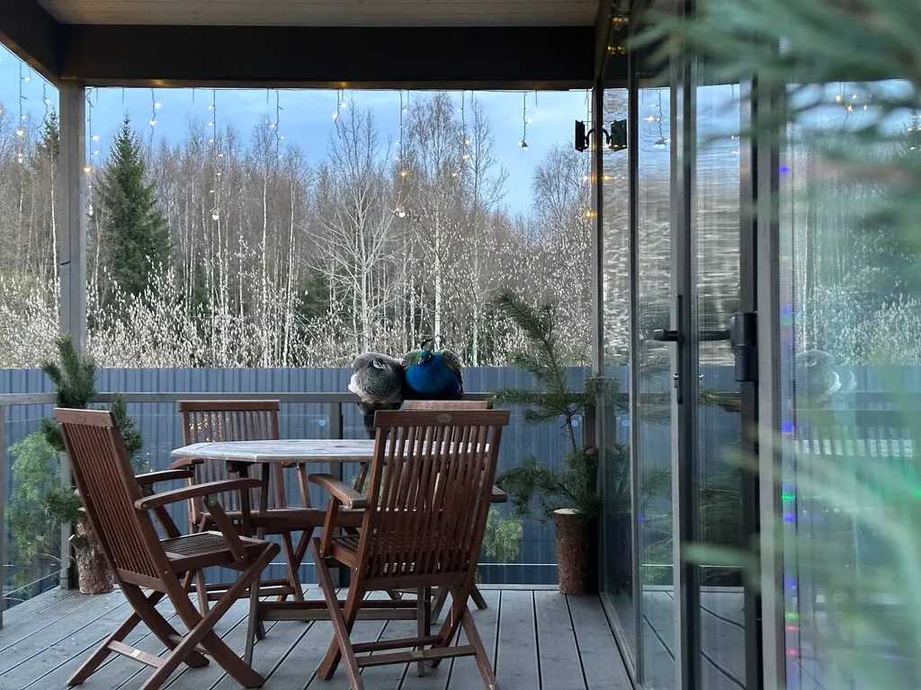 Уютный домик с птичками в 20 минутах от Петербурга